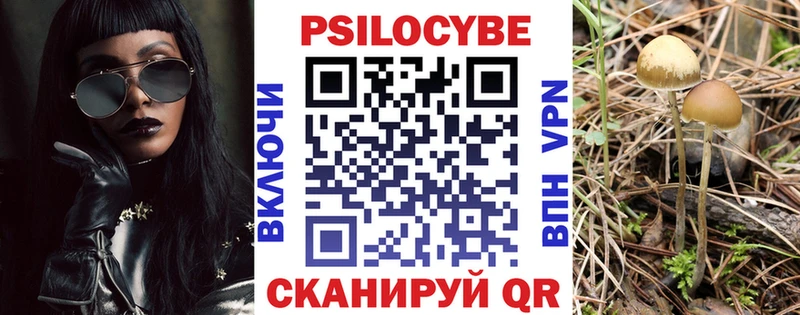 Галлюциногенные грибы Psilocybe  наркошоп  Кинель 